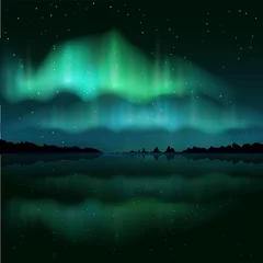 Fotobehang Northern lights, aurora borealis, vector realistic illustration © Siberian Art