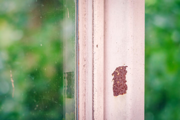 Close up of rust on an old white iron window with a blurred background