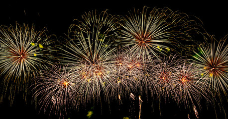 fireworks in the night sky for background 