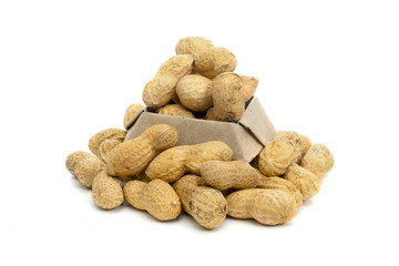 group dried peanuts isolated on white background