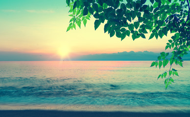 summer sea with green leaves pattern at sunset and copy space,sky relaxing concept,beautiful tropical background for travel landscape