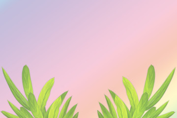 Green Leaves on a paper card