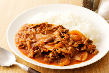 ハヤシライス　Hayashi rice, Japanese cuisine hashed beef rice.