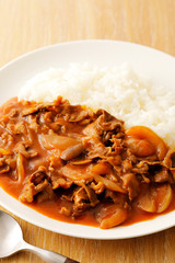ハヤシライス　Hayashi rice, Japanese cuisine hashed beef rice.