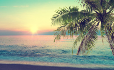 Obraz na płótnie Canvas summer sea with palm tree at sunset and copy space,sky relaxing concept,beautiful tropical background for travel landscape
