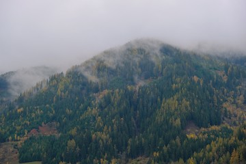 Autumn mountains in the fog  landscape. Green and yellow trees pattern in the fog. Mountain nature background.