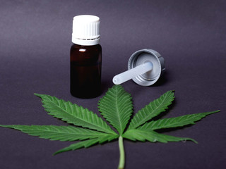 marijuana is a natural cure for cancer,cannabis leaf and extract oil.Concept: Medicinal cannabis