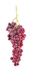 Ripe red grape isolated on white background