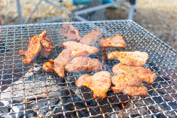 yakiniku Grilled meat_3380
