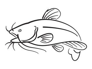 Graphic catfhish on white background, vector