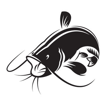 graphic silhouette catfish open mouth, vector