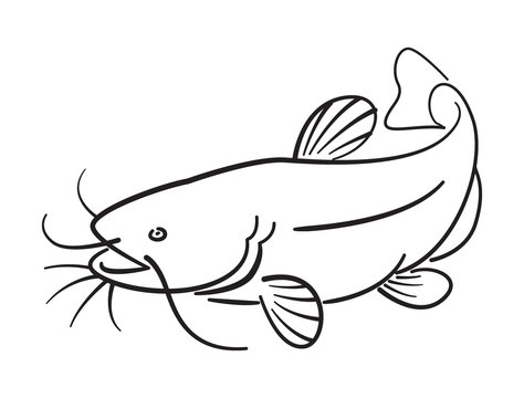 Clipart Catfish