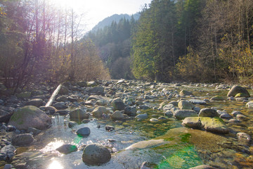 lynn canyon, hiking, vancouver