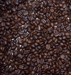 dark coffee beans on the beige background close-up