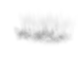 Black fog texture. Abstract brush