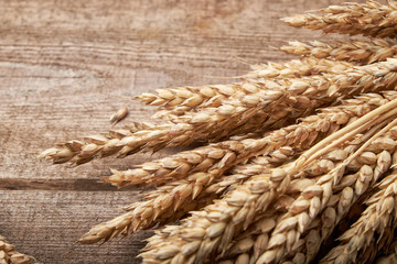 Wheat ears bunch on rustic wooden background.