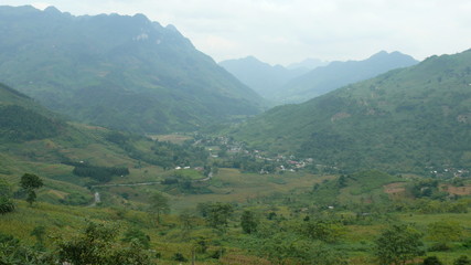 Fototapeta premium Vietnam, Rice fields, agriculture, village