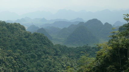 Vietnam, Rice fields, agriculture, village