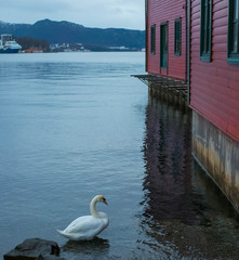 Houses and famous places in Bergen Norway