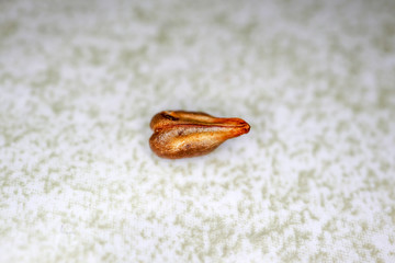 grape seed macro as background