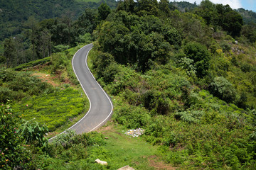 road in the mountains