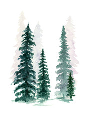 Pine tree watercolor painting on isolated white background landscape element for Christmas card, backdrop, or your design hand painted
