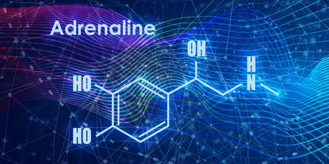 Tuinposter Chemical molecular formula hormone adrenaline. Infographics illustration. © JEGAS RA