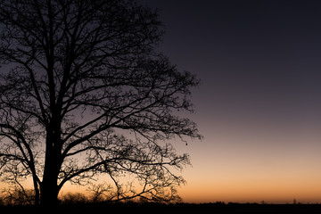 Winter Morning Sunrise