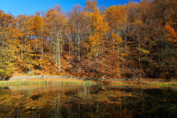 Lake in autumn in Papuk Nature Park, Croatia