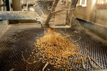 Some part of rice mill machine during working.,Flying rice in the basket - obrazy, fototapety, plakaty