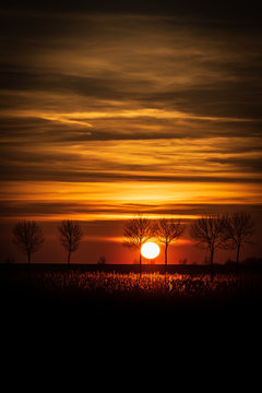 Sunset 2302