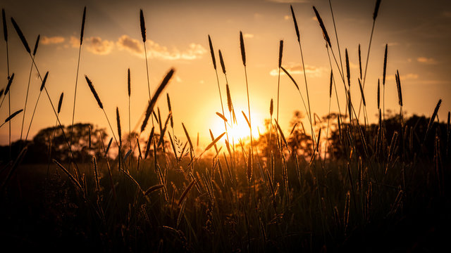 Sunset 0602