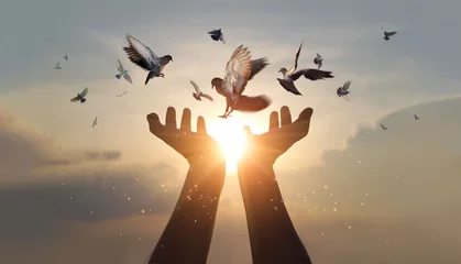 Foto op Canvas Vrouw handen bidden en vrije vogel genieten van de natuur op zonsondergang achtergrond, hoop en geloof concept © ipopba