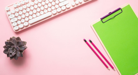 Computer keyboard and succulent plant against pink background