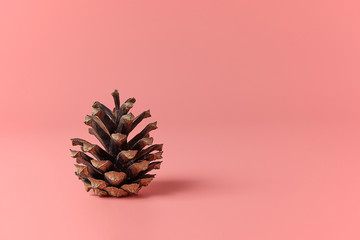 Christmas holiday background. Pine cone on a pastel pink background with copy space.