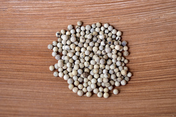 White pepper on the dry bark tree