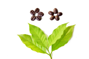 Coffee beans and leaves isolated on white background
