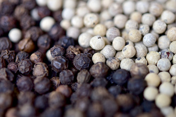  pepper on the dry bark tree
