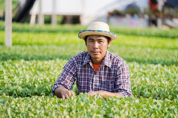 Asian farmer in hat checking young seedlings in his farm in the vegetable garden