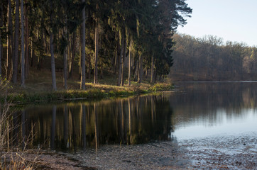 lake in autumn park, autumn landscape, reflection of trees in the water, calm autumn morning.