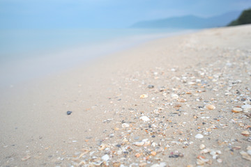 Fototapeta na wymiar Many Shell on beach in sunset