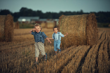 Naklejka na ściany i meble Two adorable boys having fun in the countryside