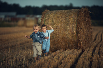 Naklejka na ściany i meble Cheerful twin brothers running on the farmland