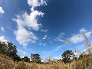 Obraz premium Hello sky