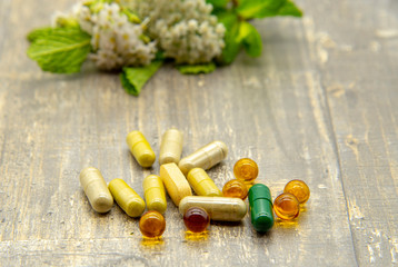 Pills and capsules close-up, behind blurred medicinal herbs.