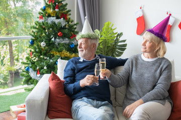 senior elderly caucasian old man and woman holding glass of champagne celebrate together in living room that decorated with christmas tree for christmas festival day, retirement lifestyle concept