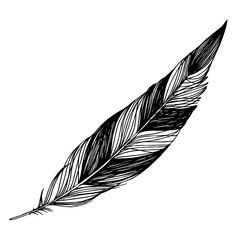 Vector bird feather from wing isolated. Black and white engraved ink art. Isolated feathers illustration element. - 300554676