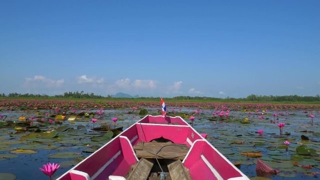 Boat trip to the sea of red lotus, Phatthalung, Thailand