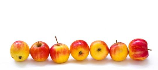 Apple  fresh organic fruit isolated white background, red, orange, yellow colorful apple with water drops skin in autumn season, fruits harvesting time concept