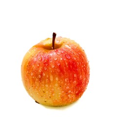 Apple  fresh organic fruit isolated white background, red, orange, yellow colorful apple with water drops skin in autumn season, fruits harvesting time concept